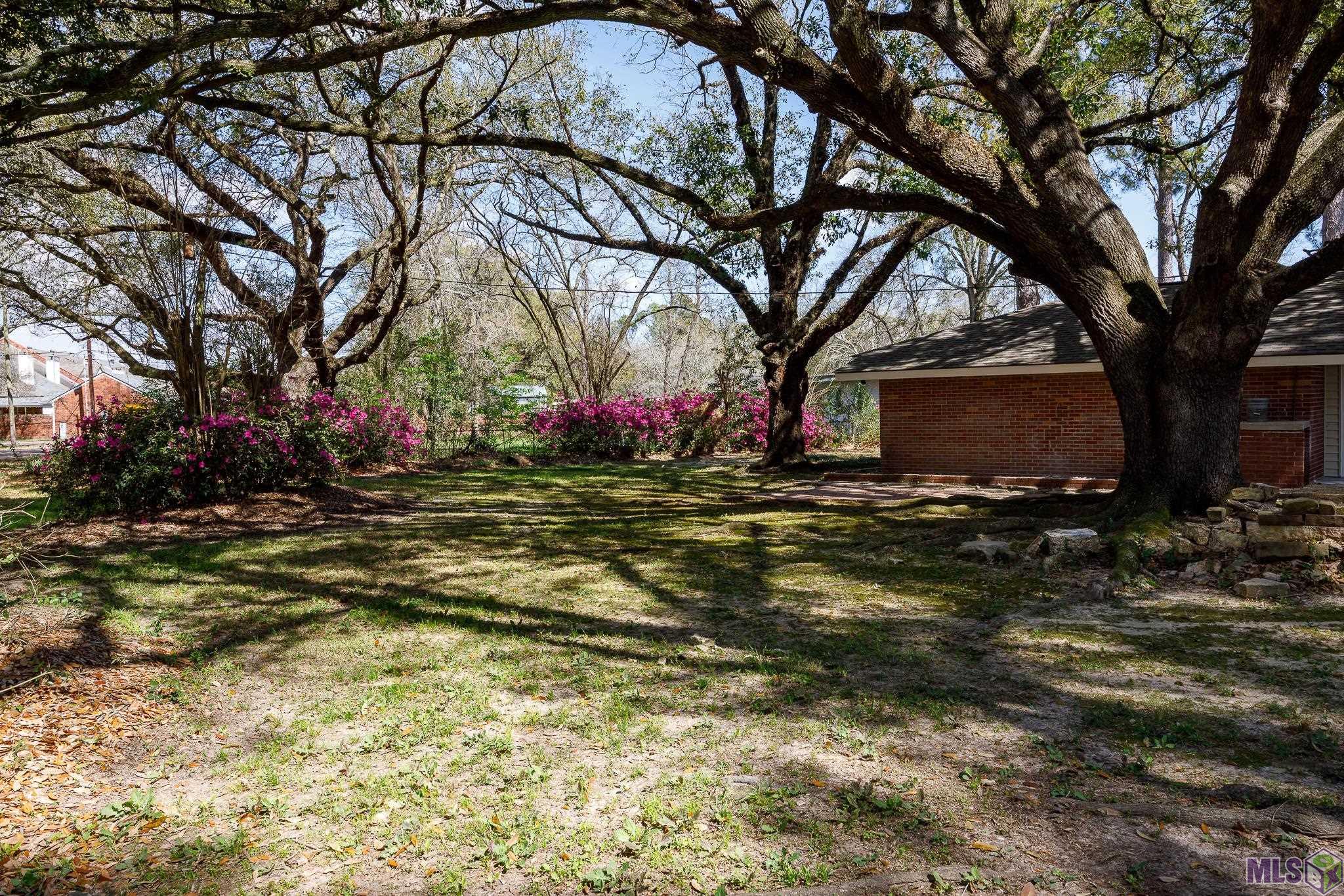 366 Linda Avenue Baton Rouge, LA 70806 - Photo 20 of 26 Large backyard with beautiful oak trees