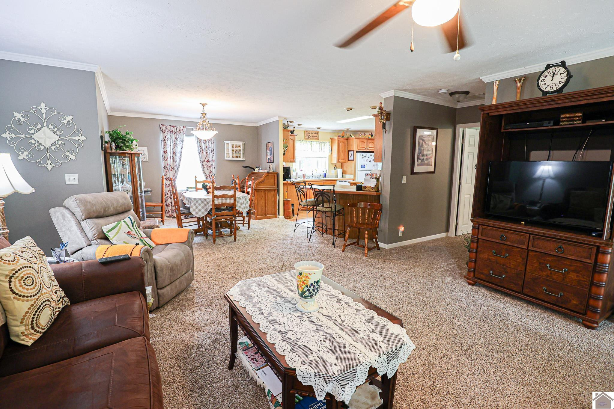 5011 Old Mayfield Road Paducah, KY 42003 - Photo 17 of 35 Living Room