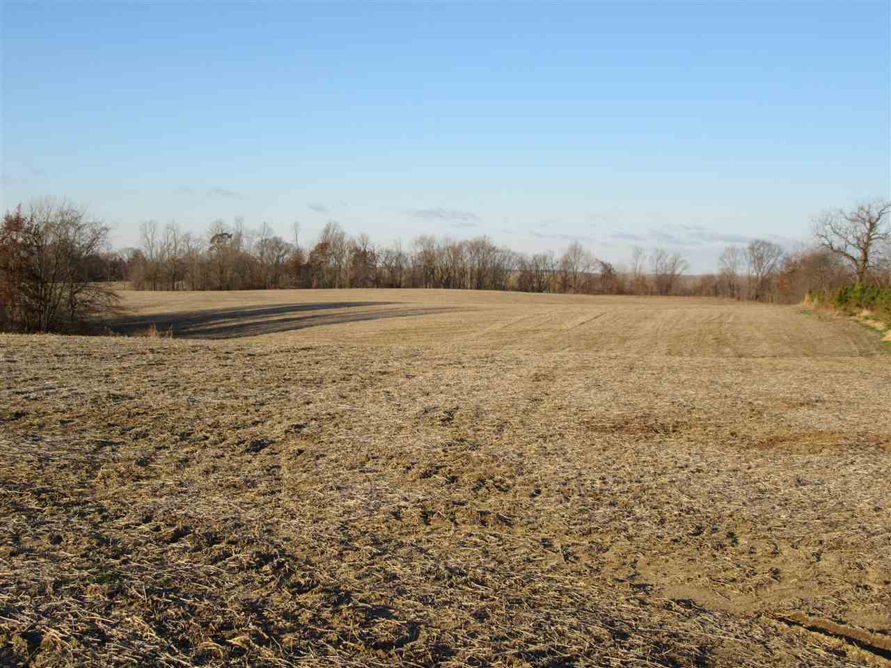38-acres North Ooley Road Bloomfield, IN 47424 - Photo 3 of 4