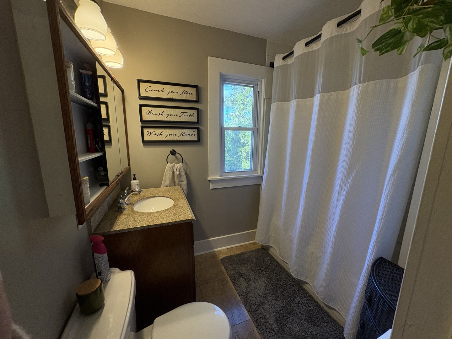 2306 Beach Road Ashton, IL 61006 - Photo 27 of 56 a bathroom with a sink toilet and shower