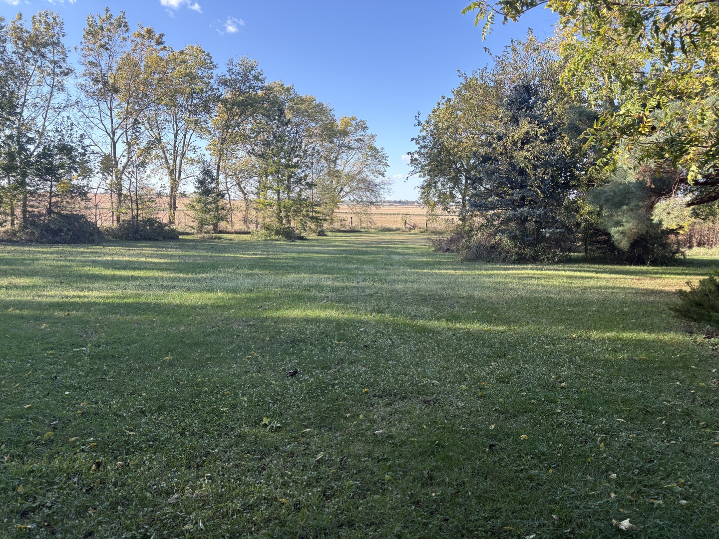 2306 Beach Road Ashton, IL 61006 - Photo 49 of 56 a big yard with lots of green space and trees in the background