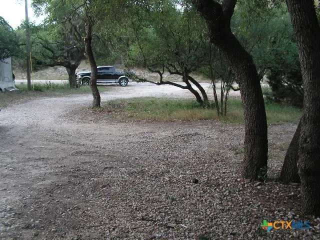 a view of a forest with trees
