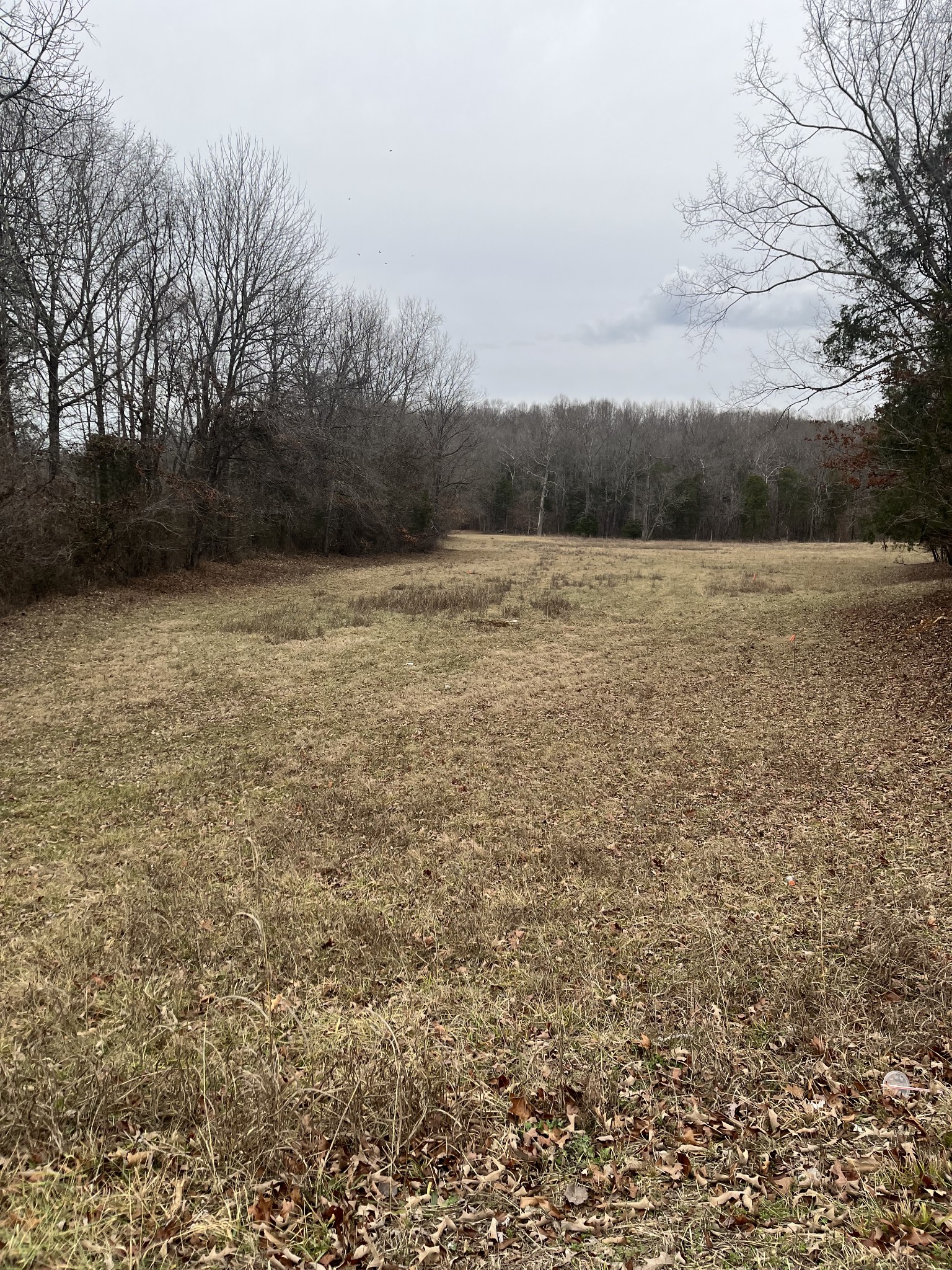 0 Long Road Charlotte, TN 37036 - Photo 1 of 8 Gallery Image 1