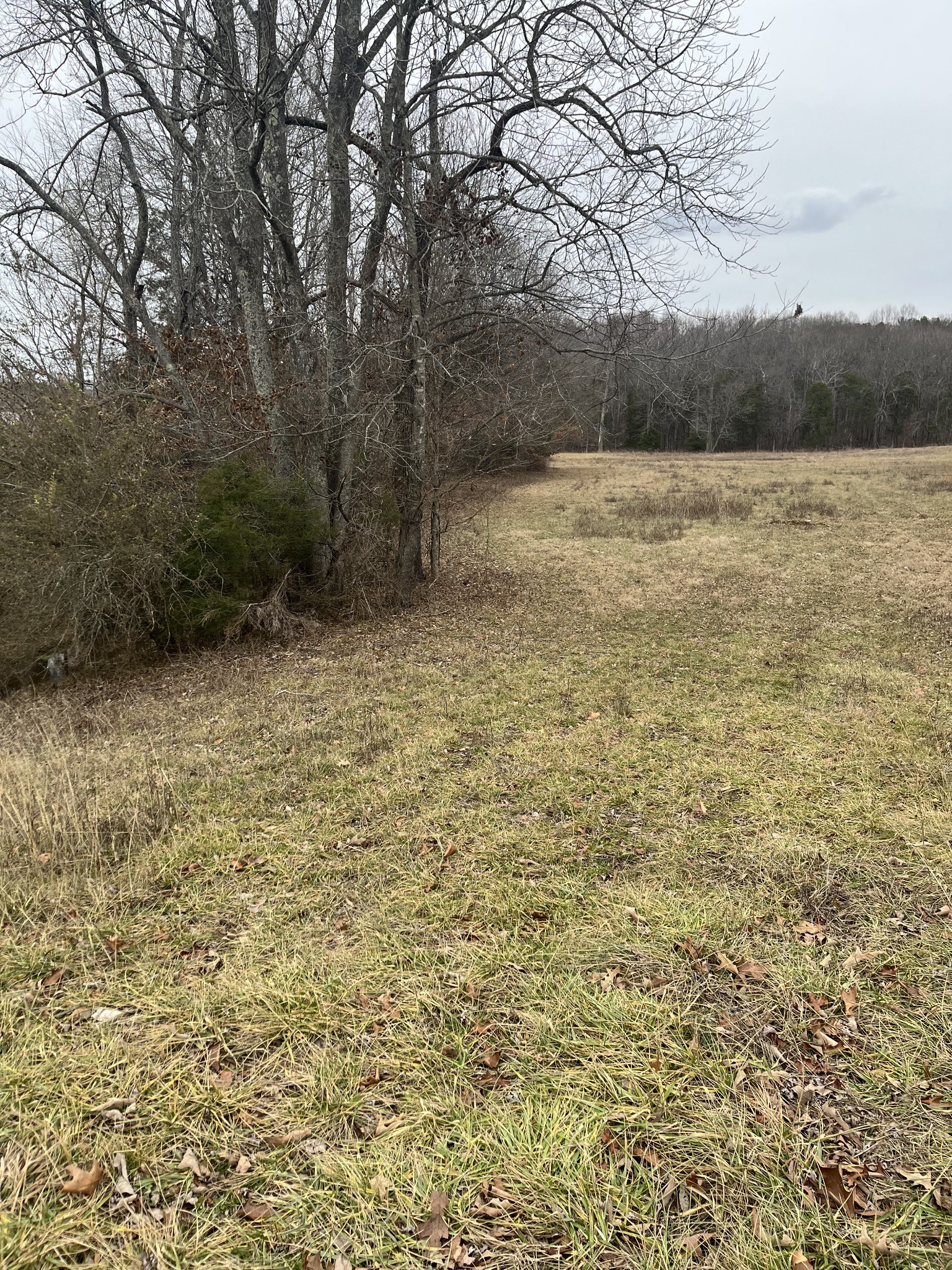 0 Long Road Charlotte, TN 37036 - Photo 2 of 8 Gallery Image 2