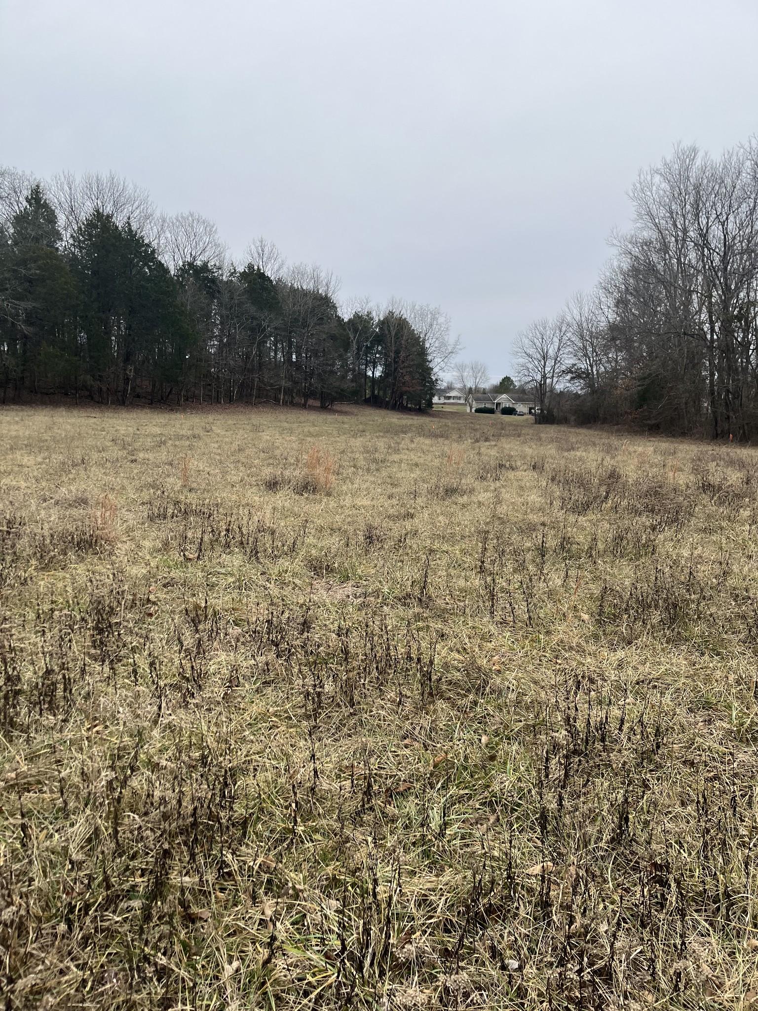 0 Long Road Charlotte, TN 37036 - Photo 6 of 8 Gallery Image 6