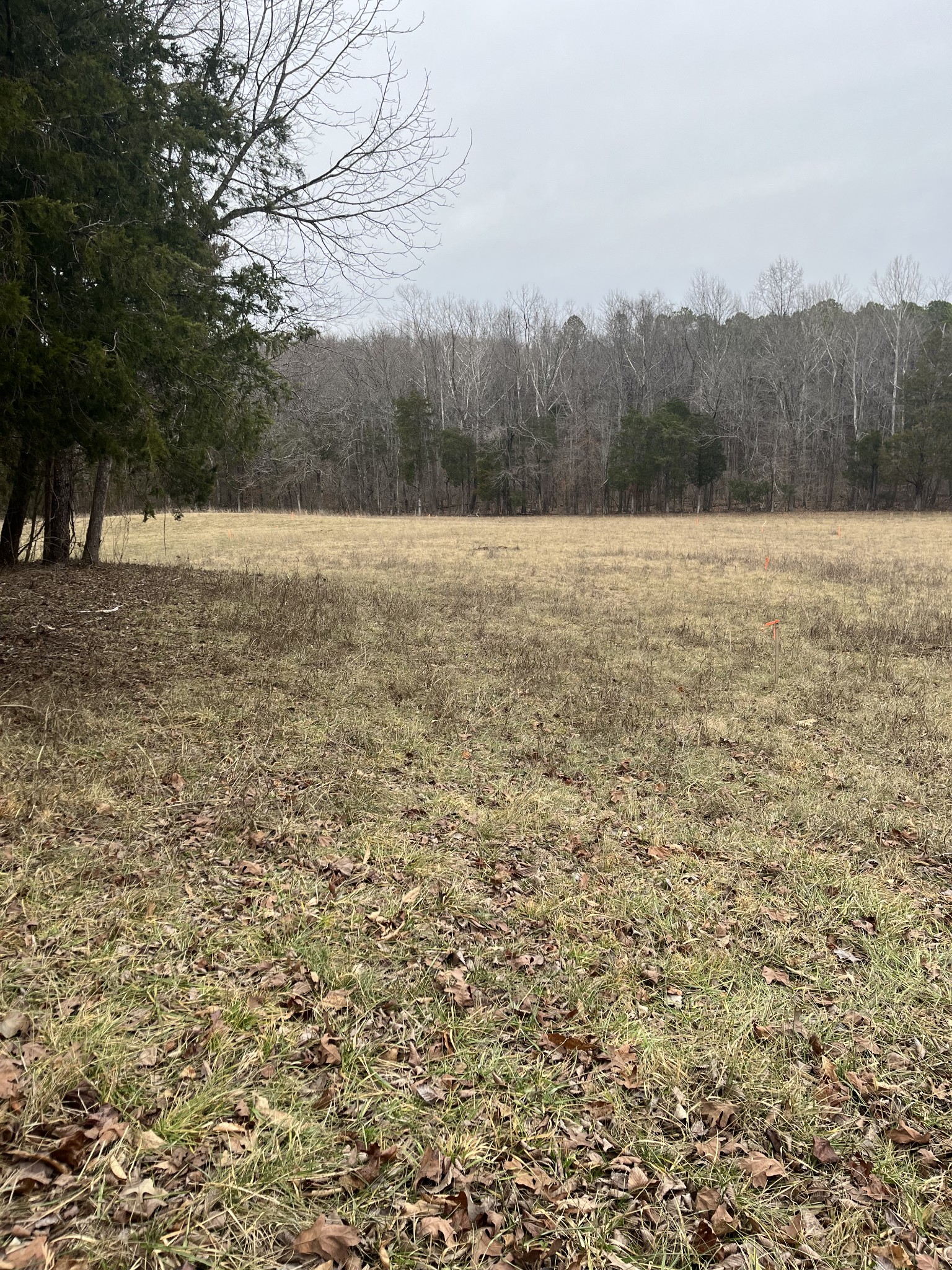 0 Long Road Charlotte, TN 37036 - Photo 8 of 8 Gallery Image 8