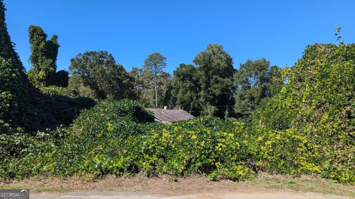 0 Clinic Road Tate, GA 30177 - Photo 1 of 1 Gallery Image 1