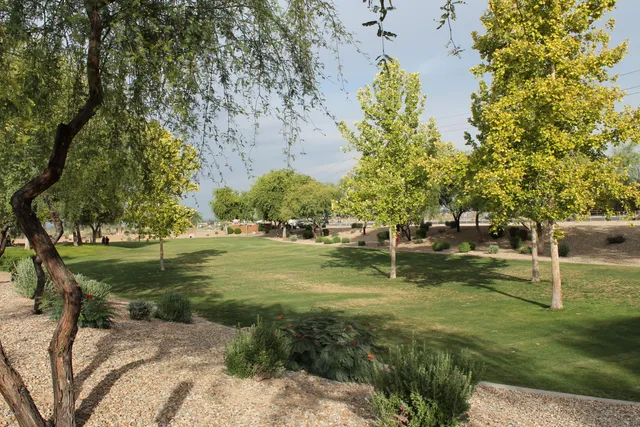 a view of a park with large trees
