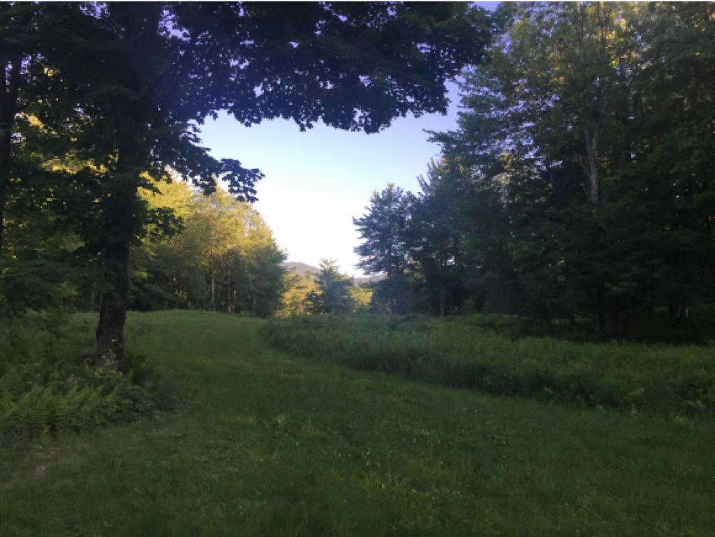 623 Pleasant Valley Road Underhill, VT 05489 - Photo 2 of 14 Gallery Image 2