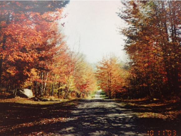623 Pleasant Valley Road Underhill, VT 05489 - Photo 11 of 14 Gallery Image 11