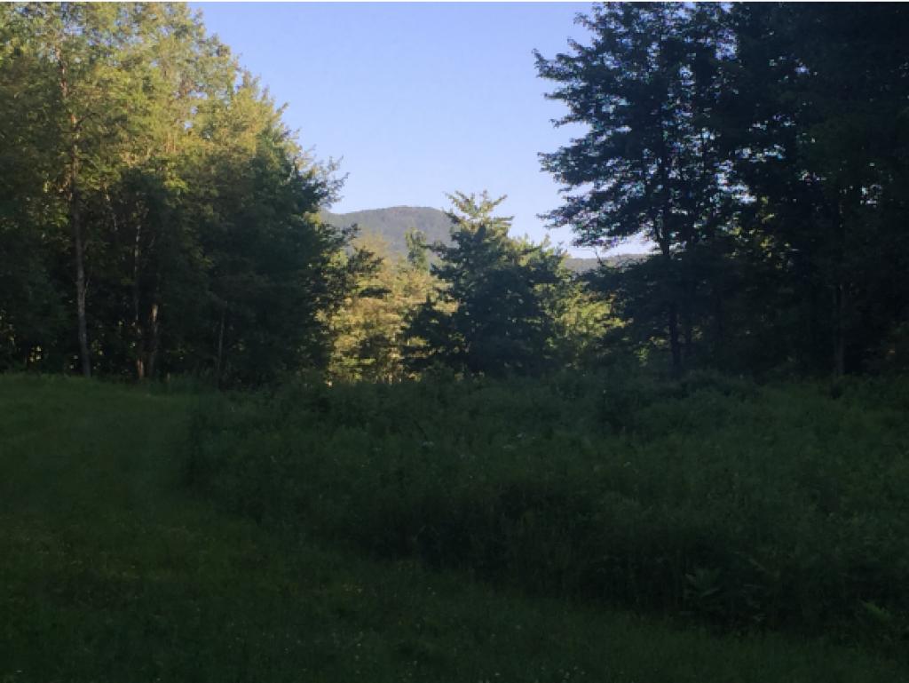 623 Pleasant Valley Road Underhill, VT 05489 - Photo 3 of 14 Gallery Image 3