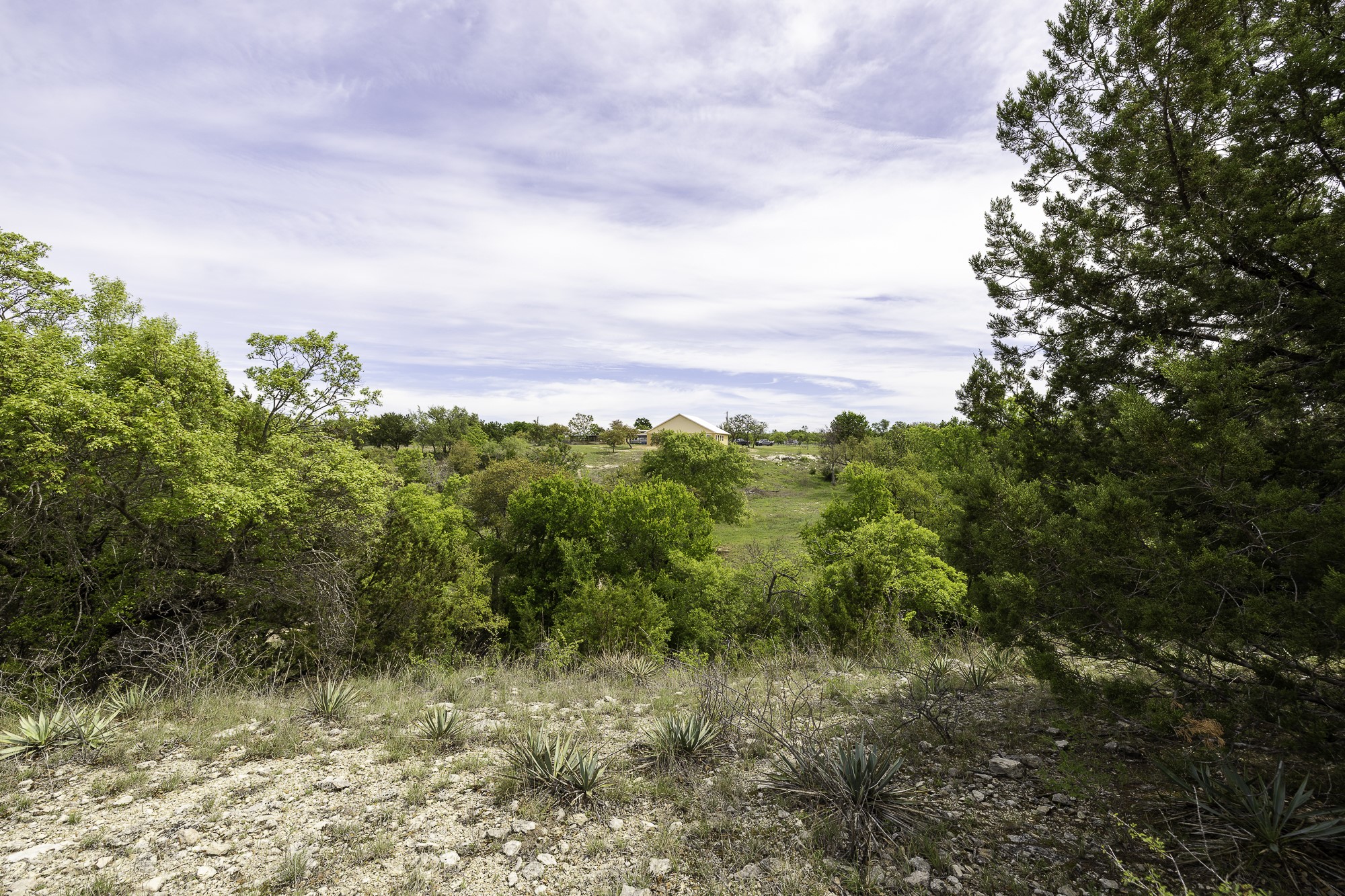 525 Jack Rabbit Circle Zephyr, TX 76890 - Photo 27 of 37 a view of a yard with an trees