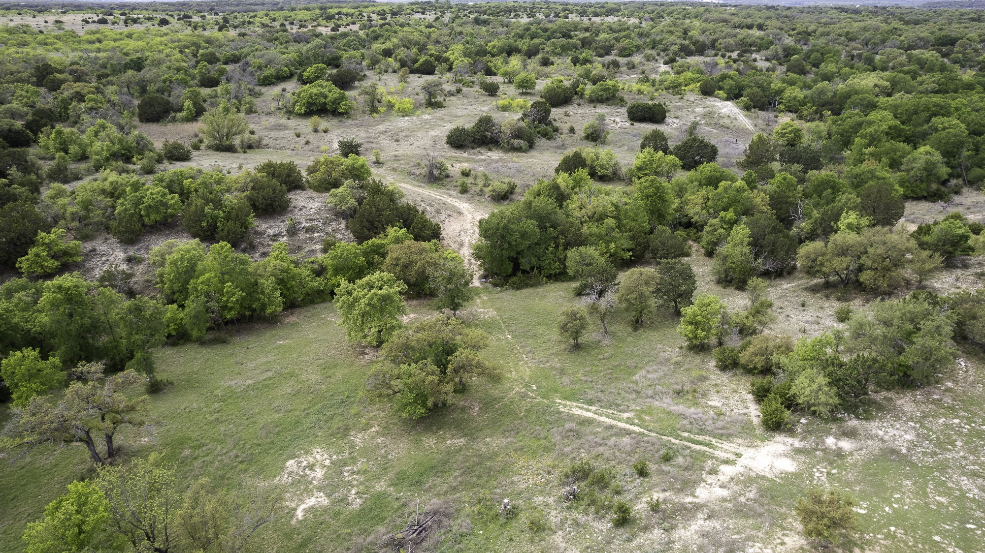 525 Jack Rabbit Circle Zephyr, TX 76890 - Photo 28 of 37 a view of a yard with plants and large trees
