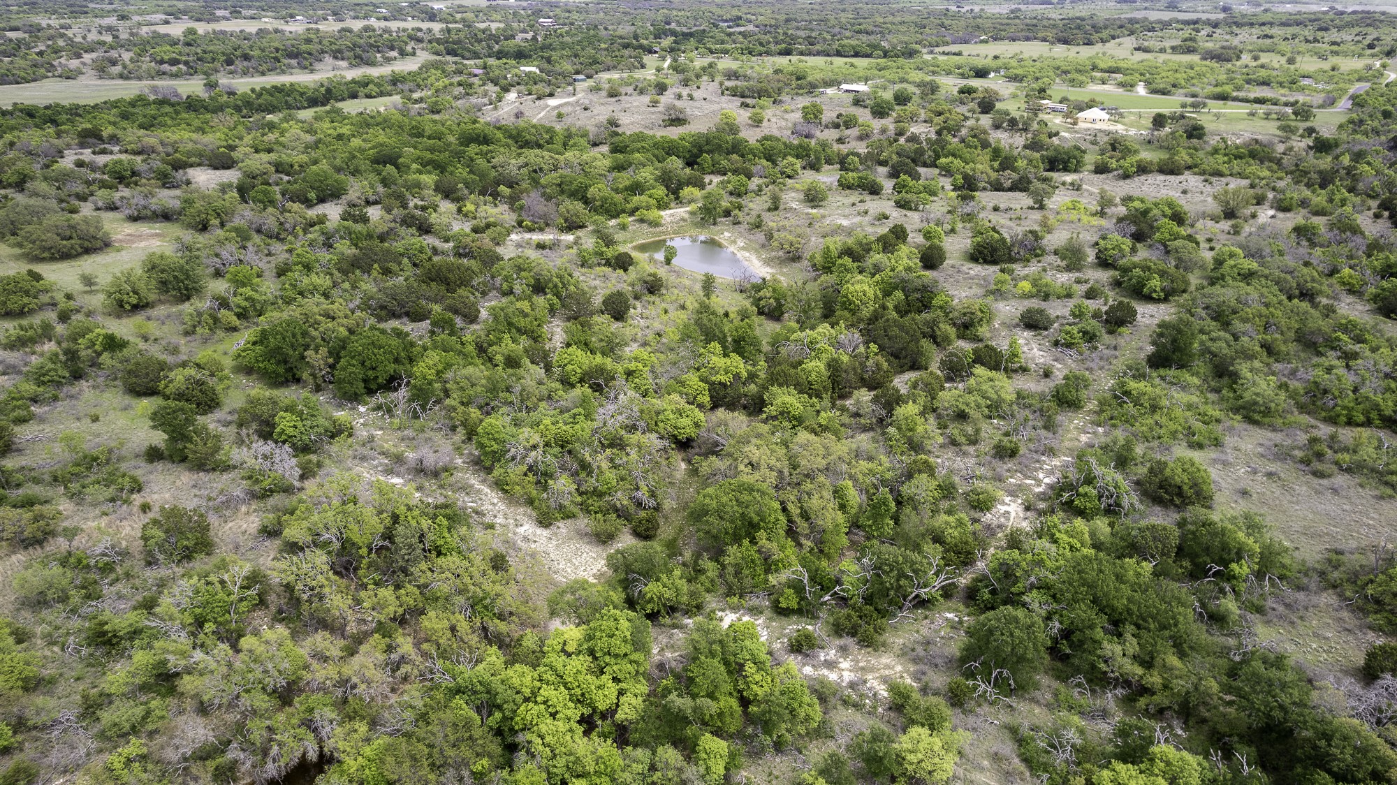 525 Jack Rabbit Circle Zephyr, TX 76890 - Photo 29 of 37 a view of a big yard with lots of bushes
