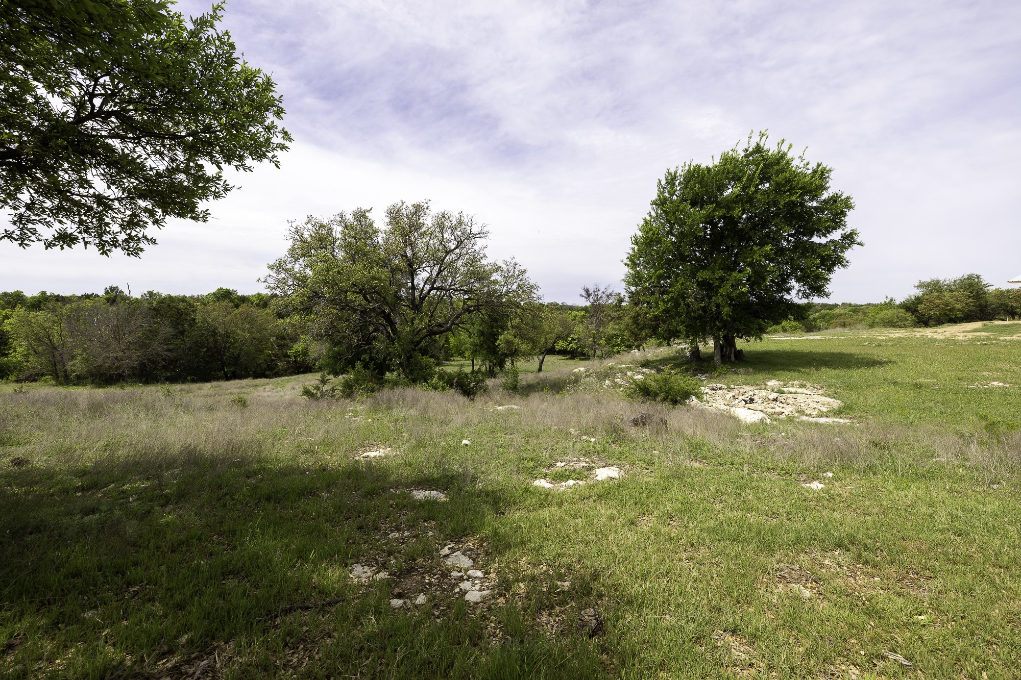 525 Jack Rabbit Circle Zephyr, TX 76890 - Photo 31 of 37 a view of yard with green space