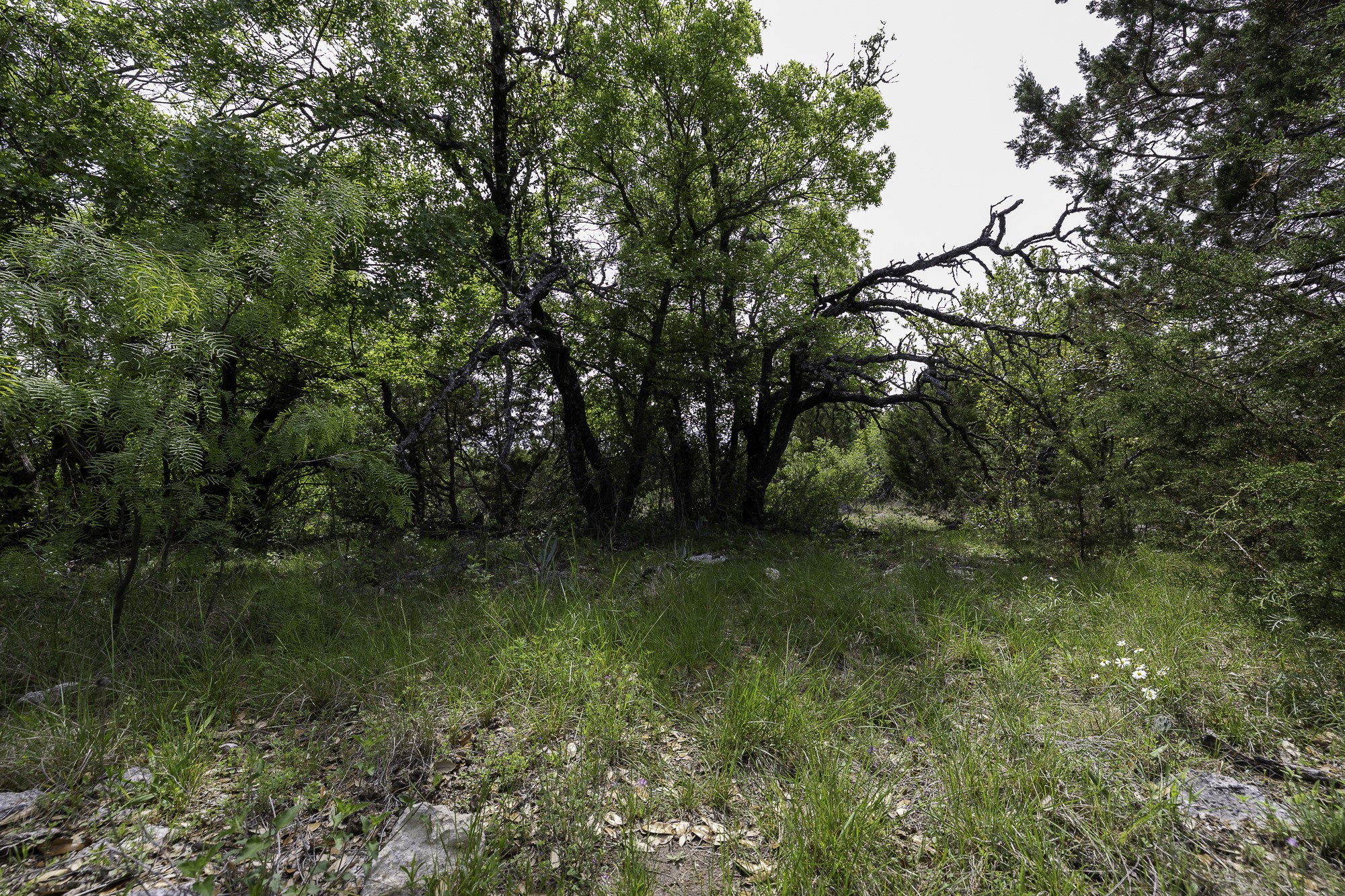 525 Jack Rabbit Circle Zephyr, TX 76890 - Photo 34 of 37 a backyard of a house with lots of green space