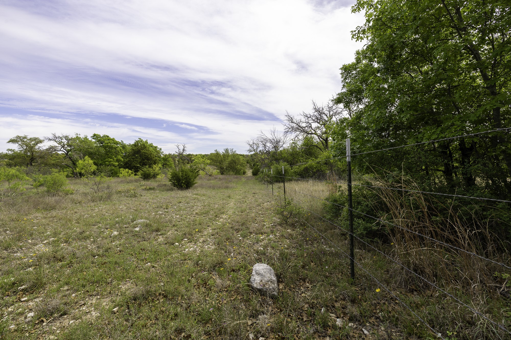 525 Jack Rabbit Circle Zephyr, TX 76890 - Photo 35 of 37 a backyard of a house with lots of green space