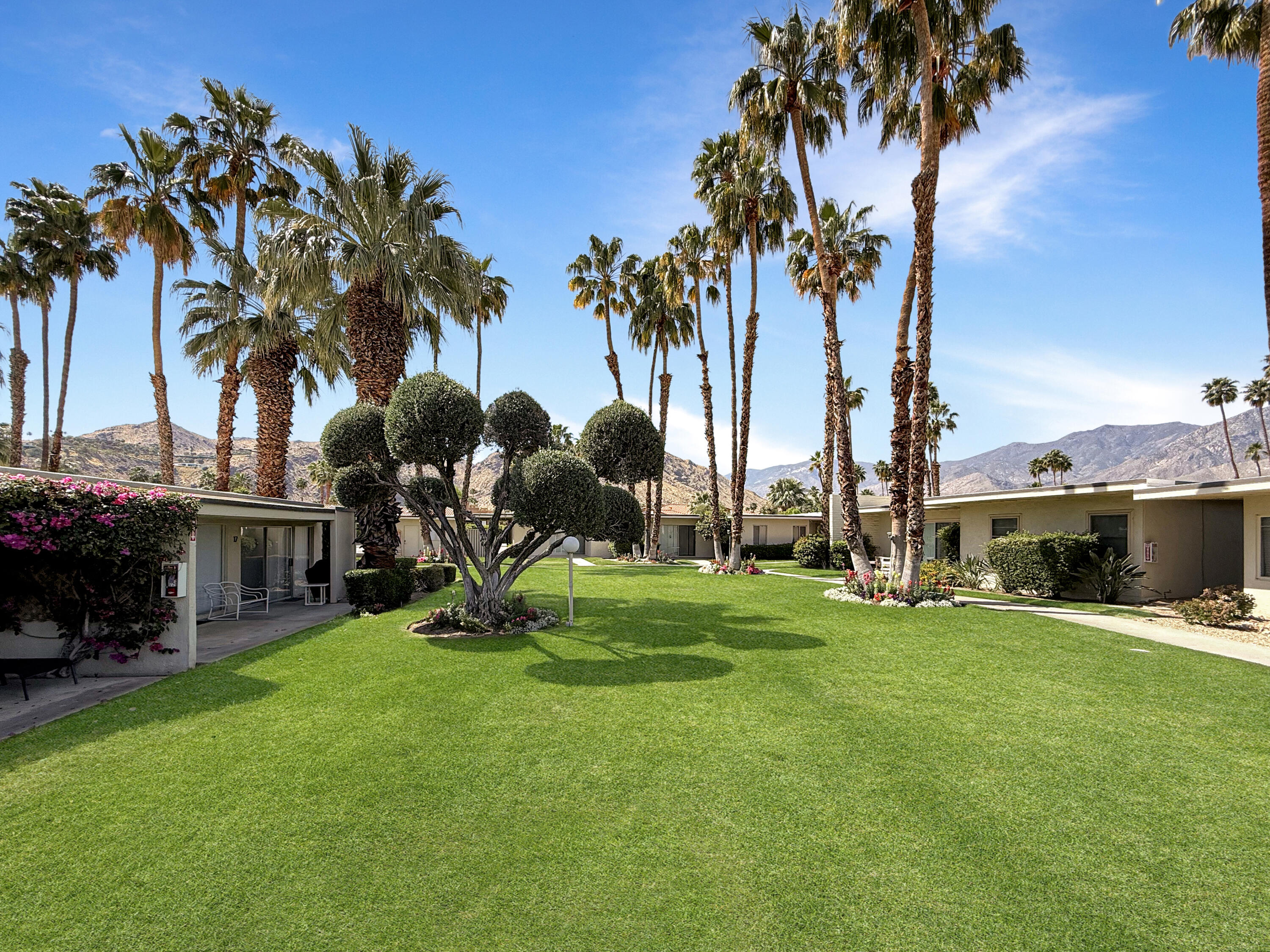 1881 South Araby Drive, Unit 16 Palm Springs, CA 92264 - Photo 29 of 52 a view of a park with palm trees