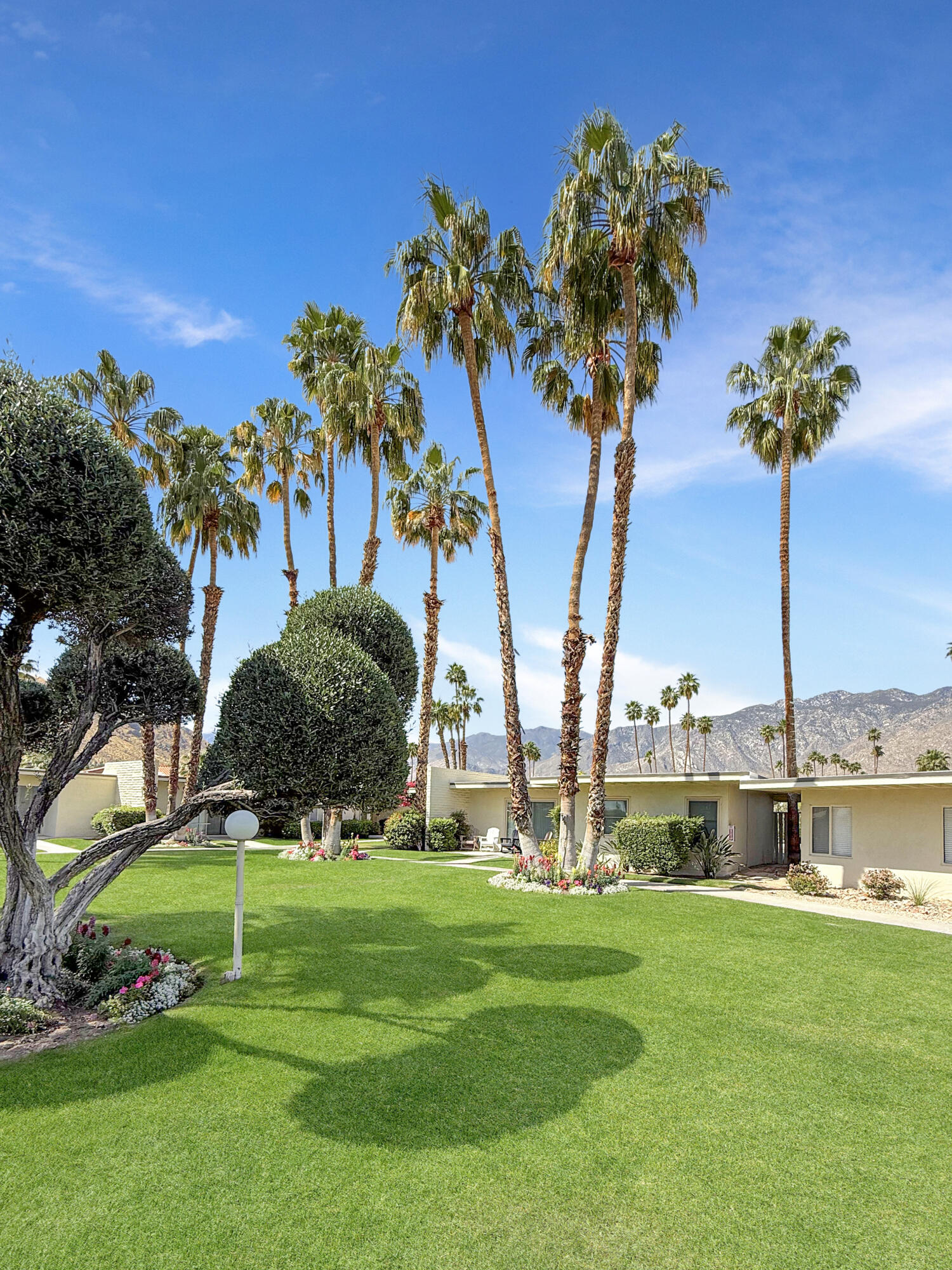 1881 South Araby Drive, Unit 16 Palm Springs, CA 92264 - Photo 38 of 52 a view of a garden with a building in the background