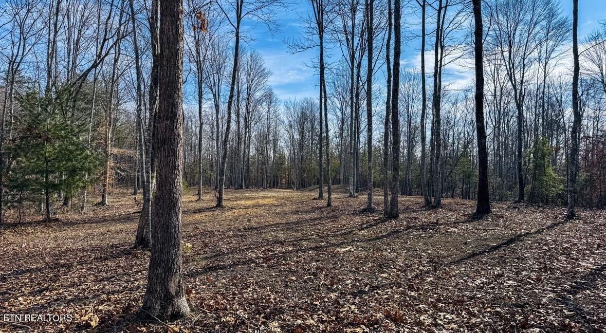 245 Old Beaty Pvt Road Winfield, TN 37892 - Photo 8 of 17 Gallery Image 8