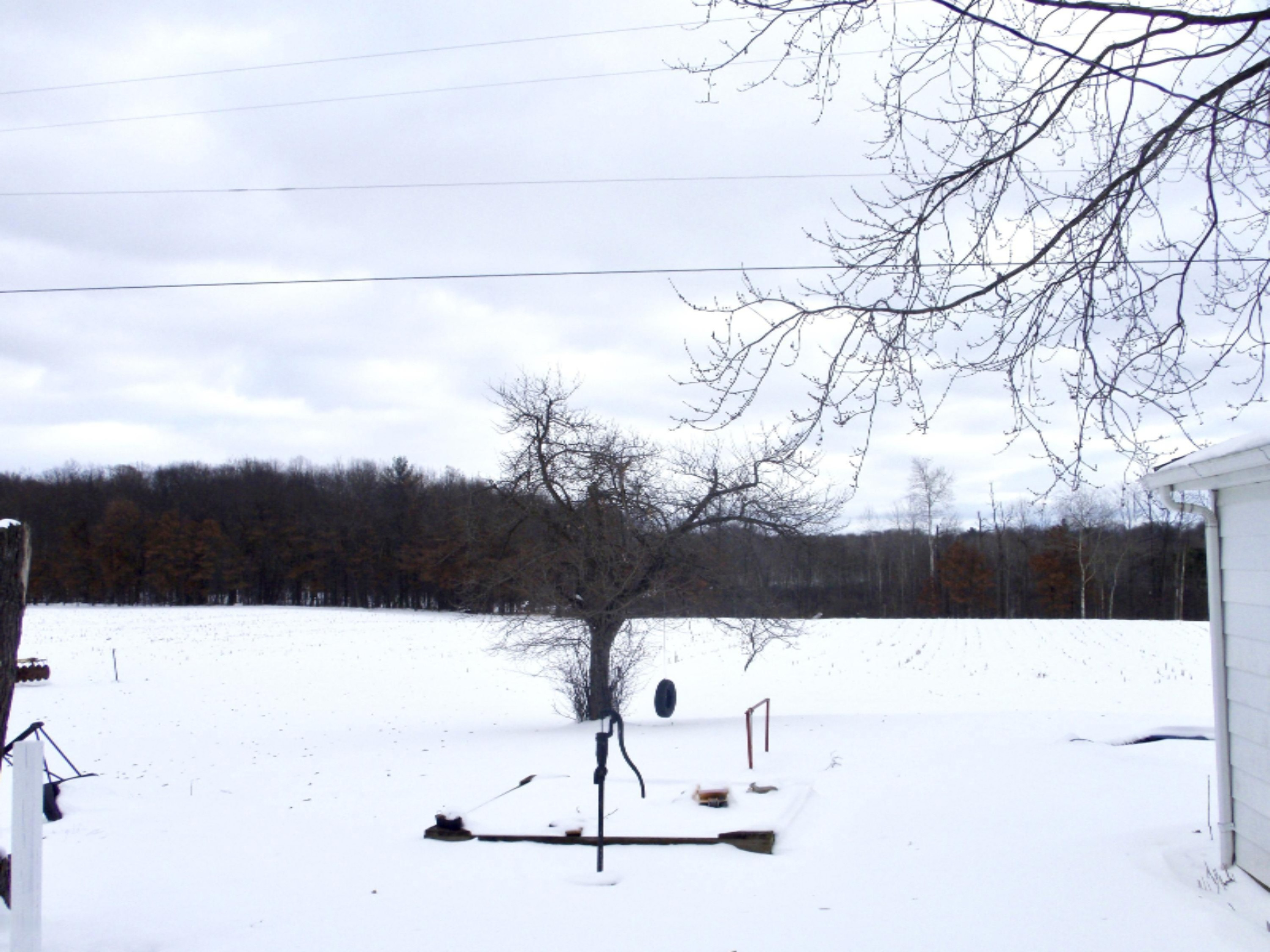 824 West County Line Road Sand Lake, MI 49343 - Photo 60 of 72 fullsizeoutput_2097