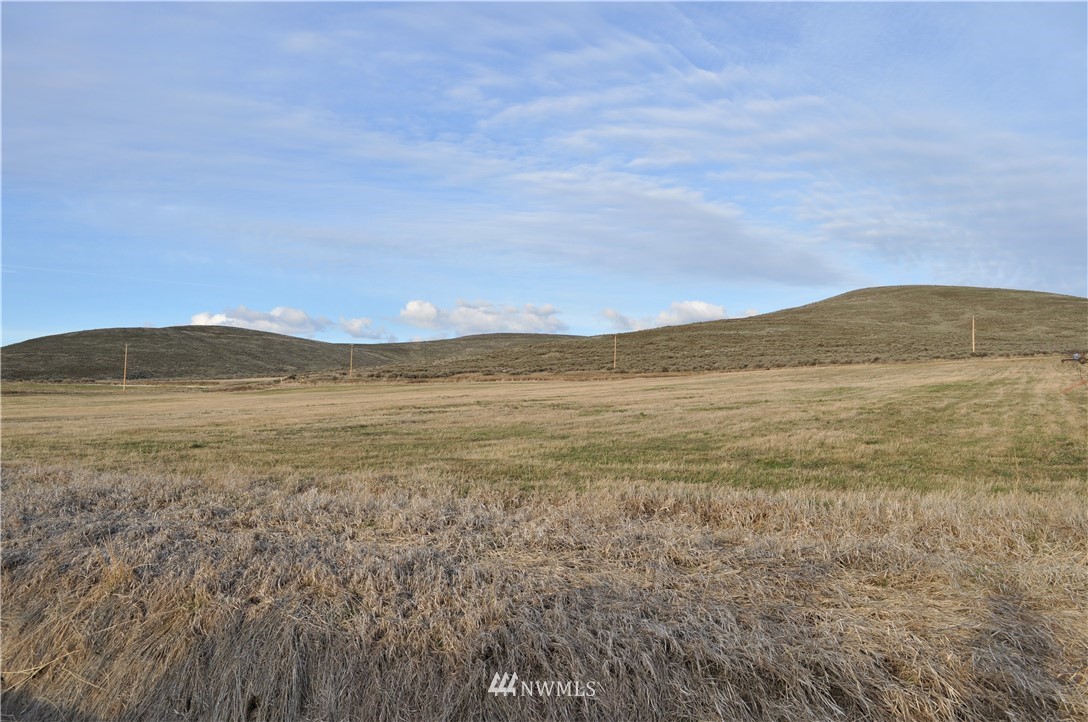 8350 4th Parallel Road Ellensburg, WA 98926 - Photo 4 of 10 Gallery Image 4