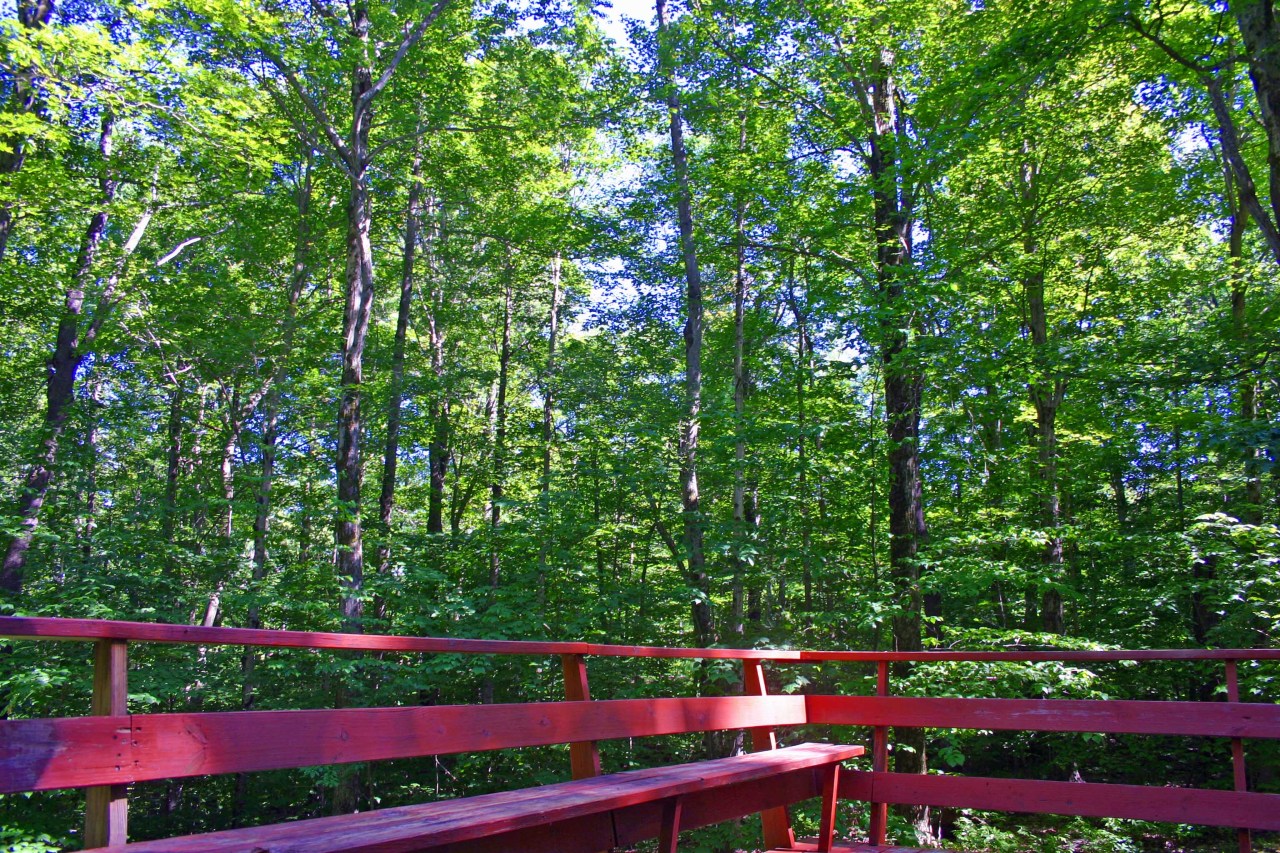 116 Stebbins Road Otis, MA 01253 - Photo 14 of 25 Deck