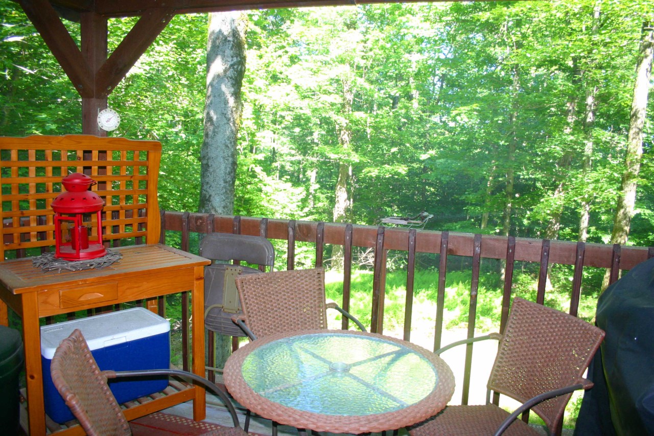 116 Stebbins Road Otis, MA 01253 - Photo 16 of 25 screened Porch