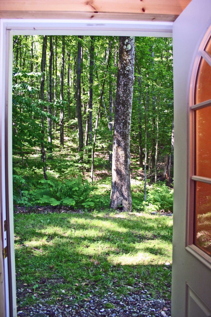 116 Stebbins Road Otis, MA 01253 - Photo 23 of 25 door from lower level