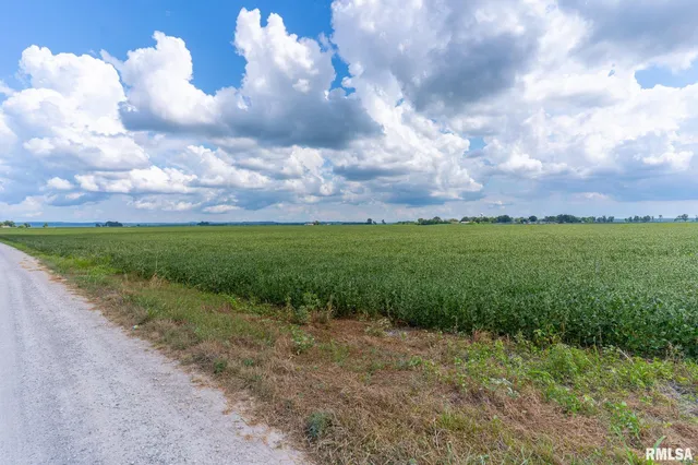 $420,000 | 3 Highway 146 Mcclure Il 62957, McClure, IL 62957