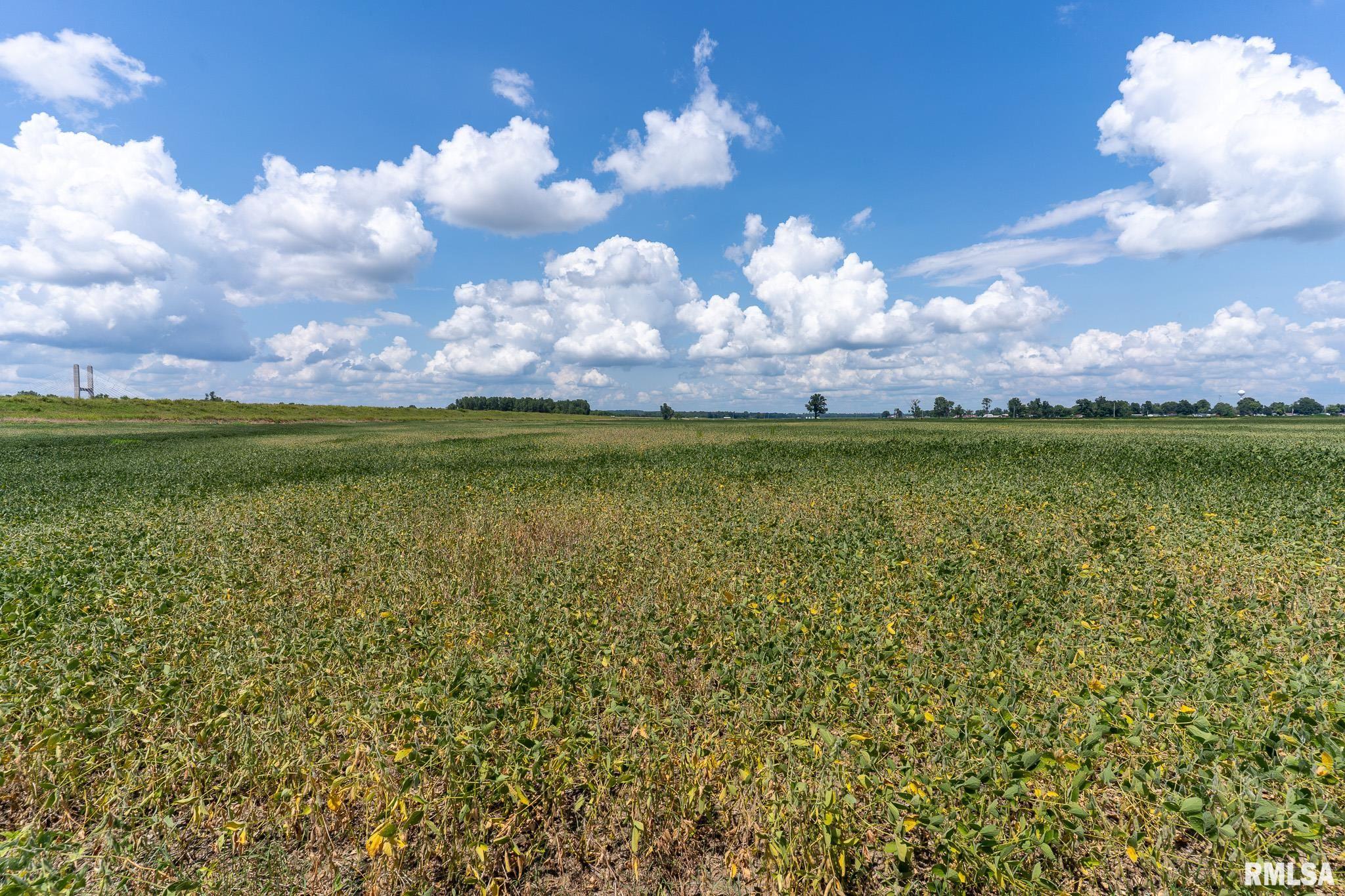 3 Highway 146 Mcclure Il 62957 McClure, IL 62957 - Photo 5 of 46