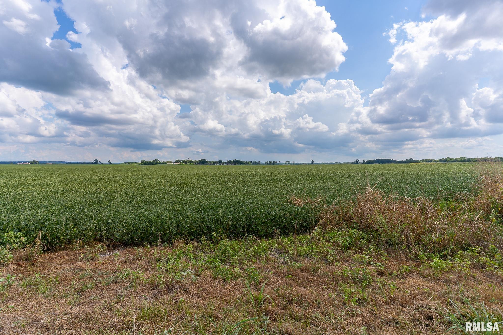 3 Highway 146 Mcclure Il 62957 McClure, IL 62957 - Photo 7 of 46