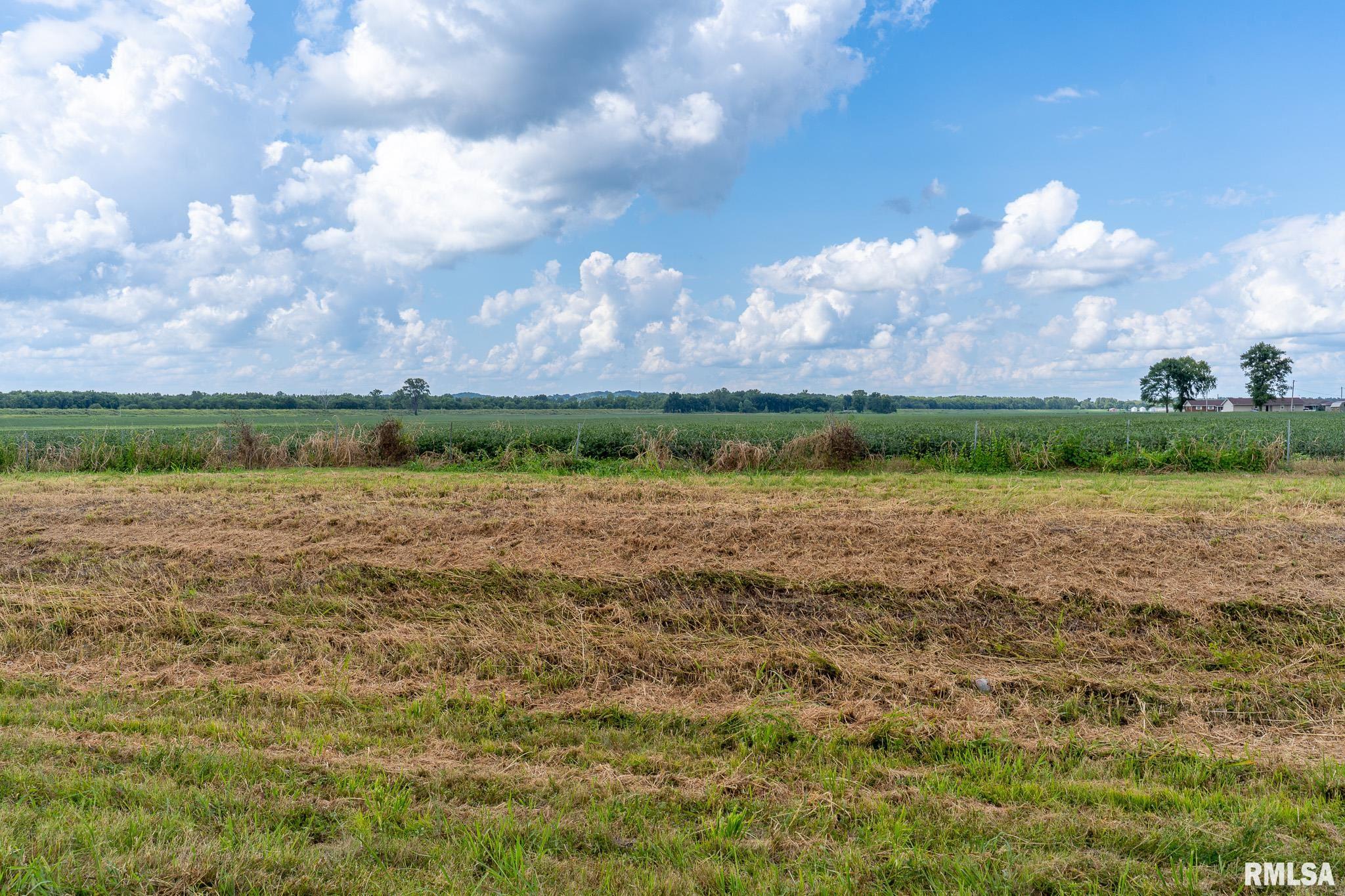 3 Highway 146 Mcclure Il 62957 McClure, IL 62957 - Photo 8 of 46