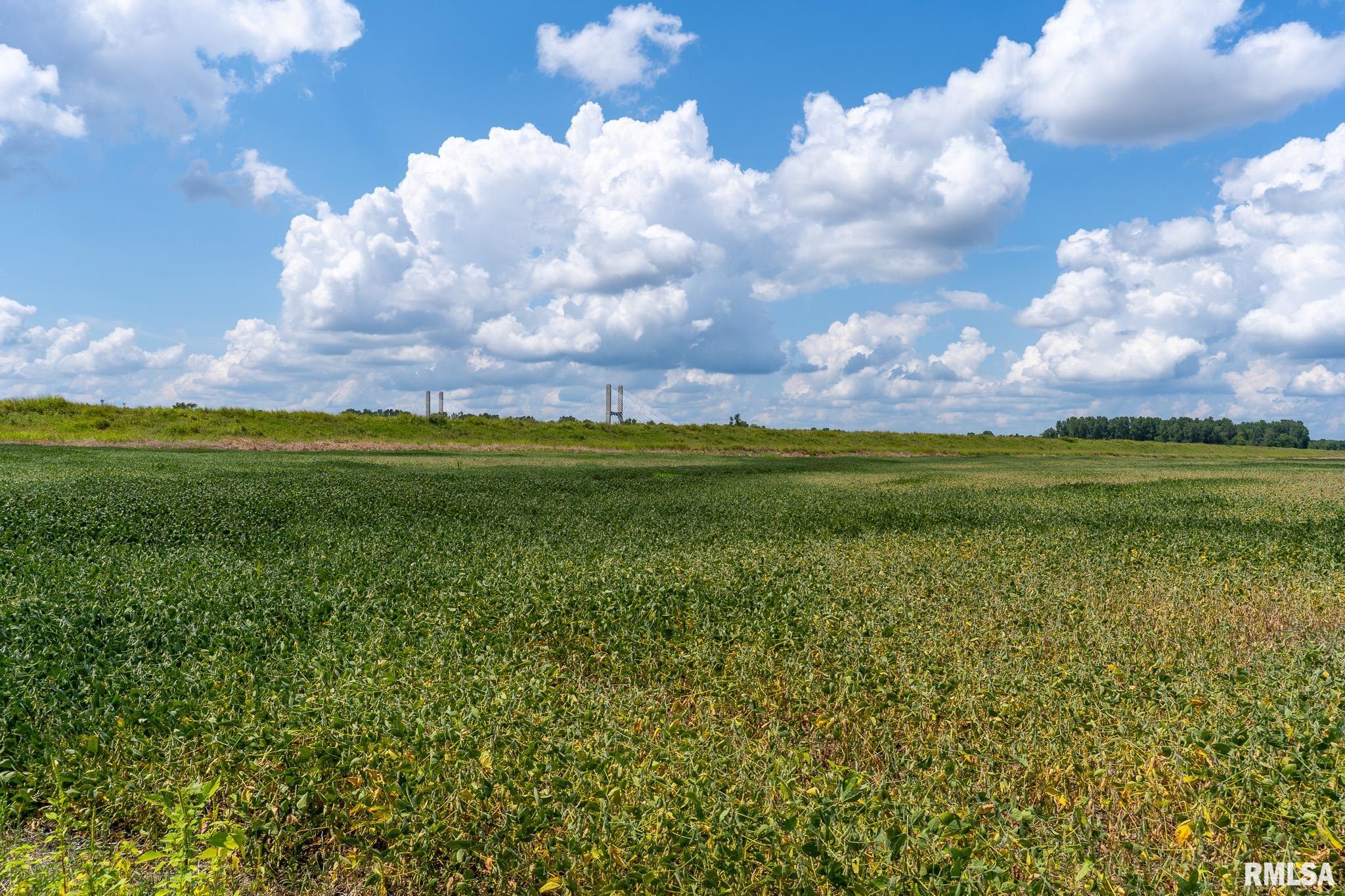 3 Highway 146 Mcclure Il 62957 McClure, IL 62957 - Photo 9 of 46