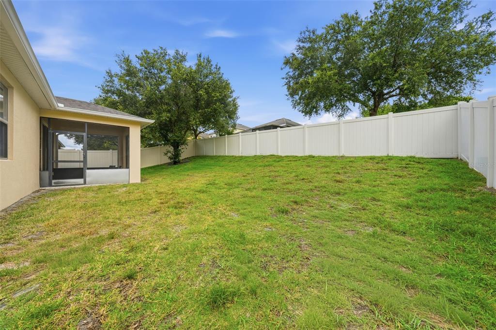20945 Oldenburg Loop Mount Dora, FL 32757 - Photo 44 of 68