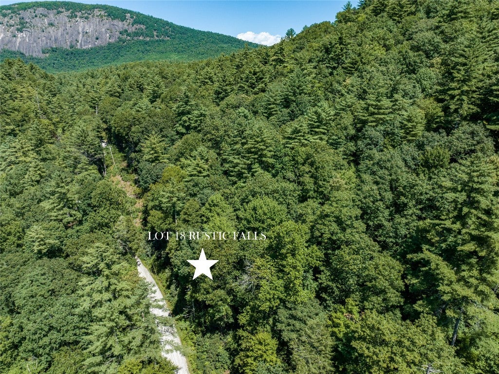 0 Walking Stick Road Highlands, NC 28741 - Photo 1 of 12 Star marks the location