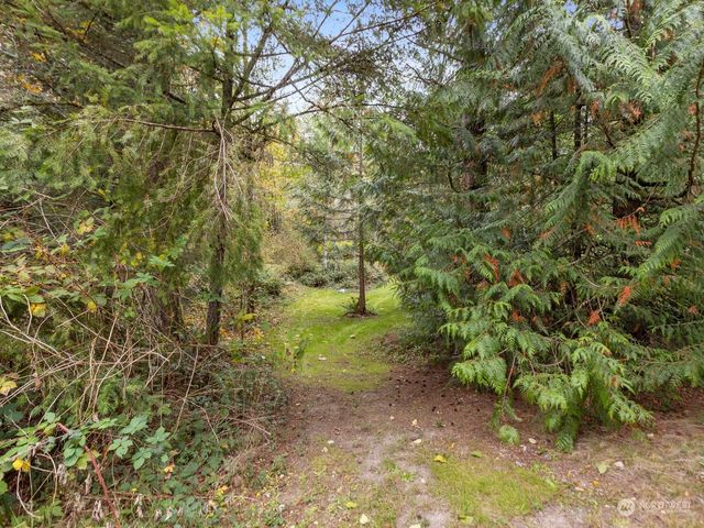 a view of a yard with plants and trees