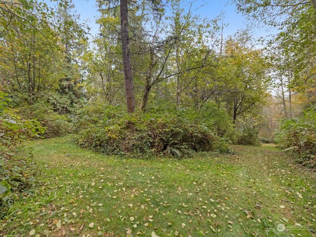 a view of a lush green space and trees