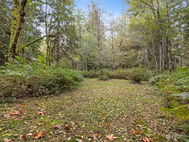 a view of a yard with a tree