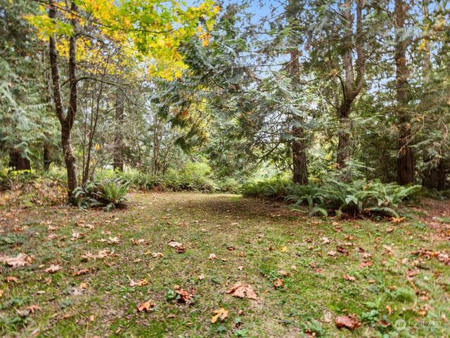 a view of a yard with a tree