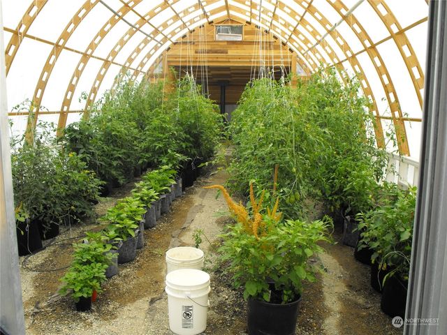 a view of a garden with a fountain