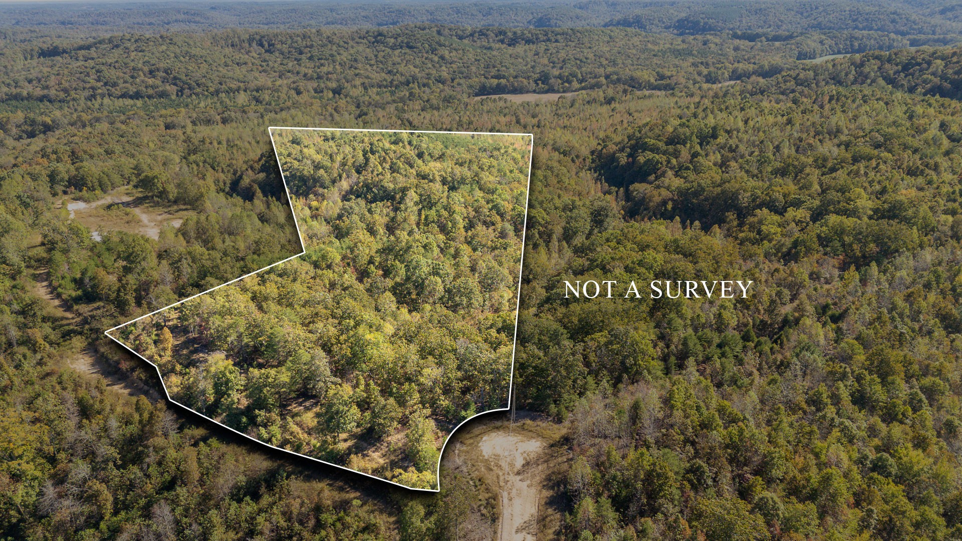 0 Cotton Court Road Clifton, TN 38425 - Photo 1 of 17 a view of a lake with a mountain in the back