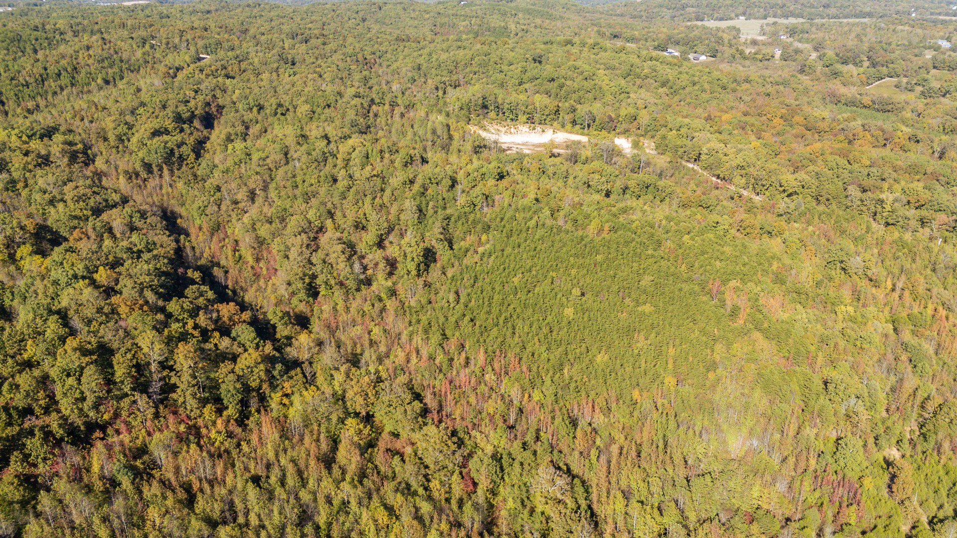 0 Cotton Court Road Clifton, TN 38425 - Photo 11 of 17 a view of residential space with a tree