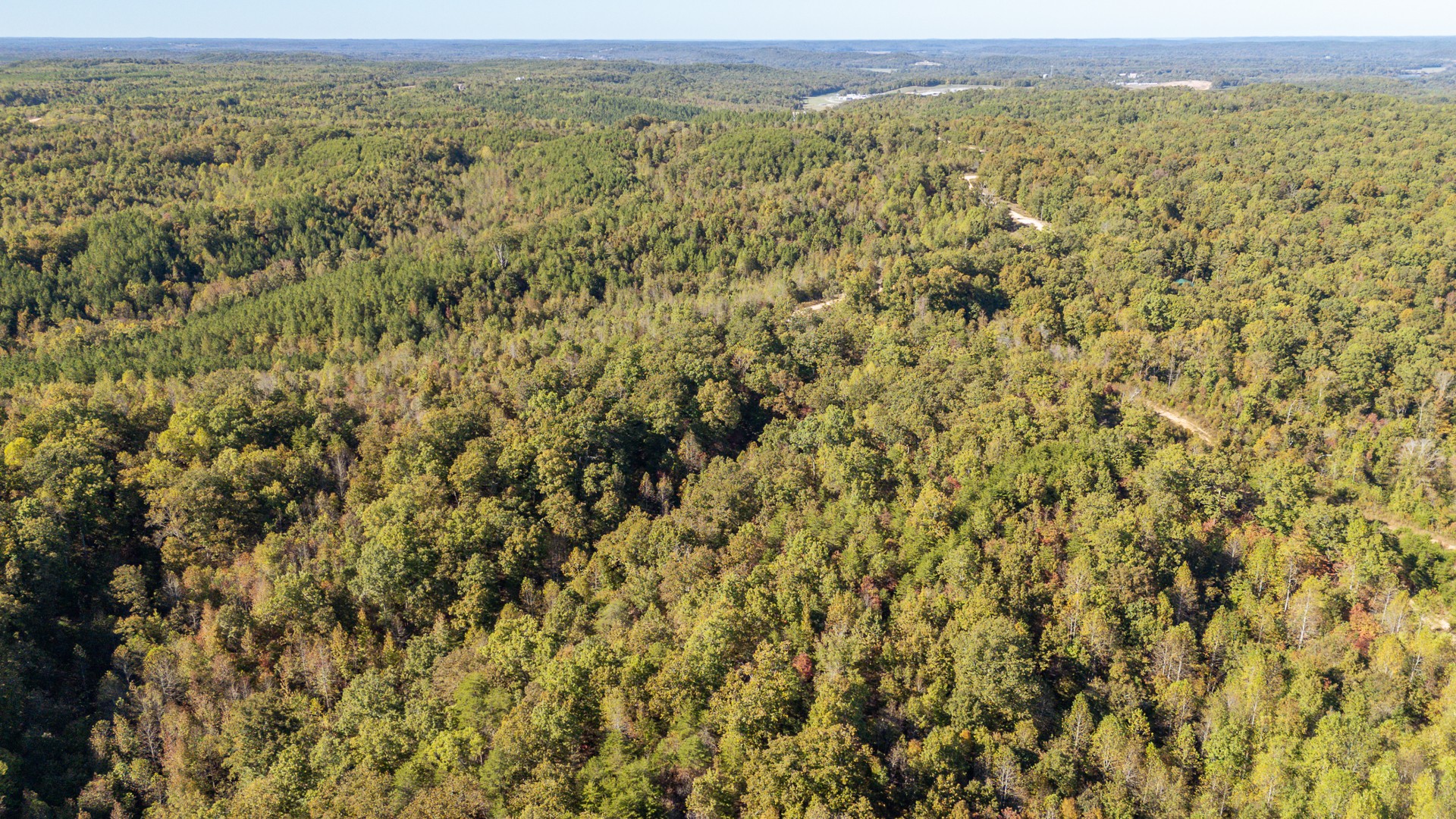 0 Cotton Court Road Clifton, TN 38425 - Photo 13 of 17 a view of a field with a mountain in the background