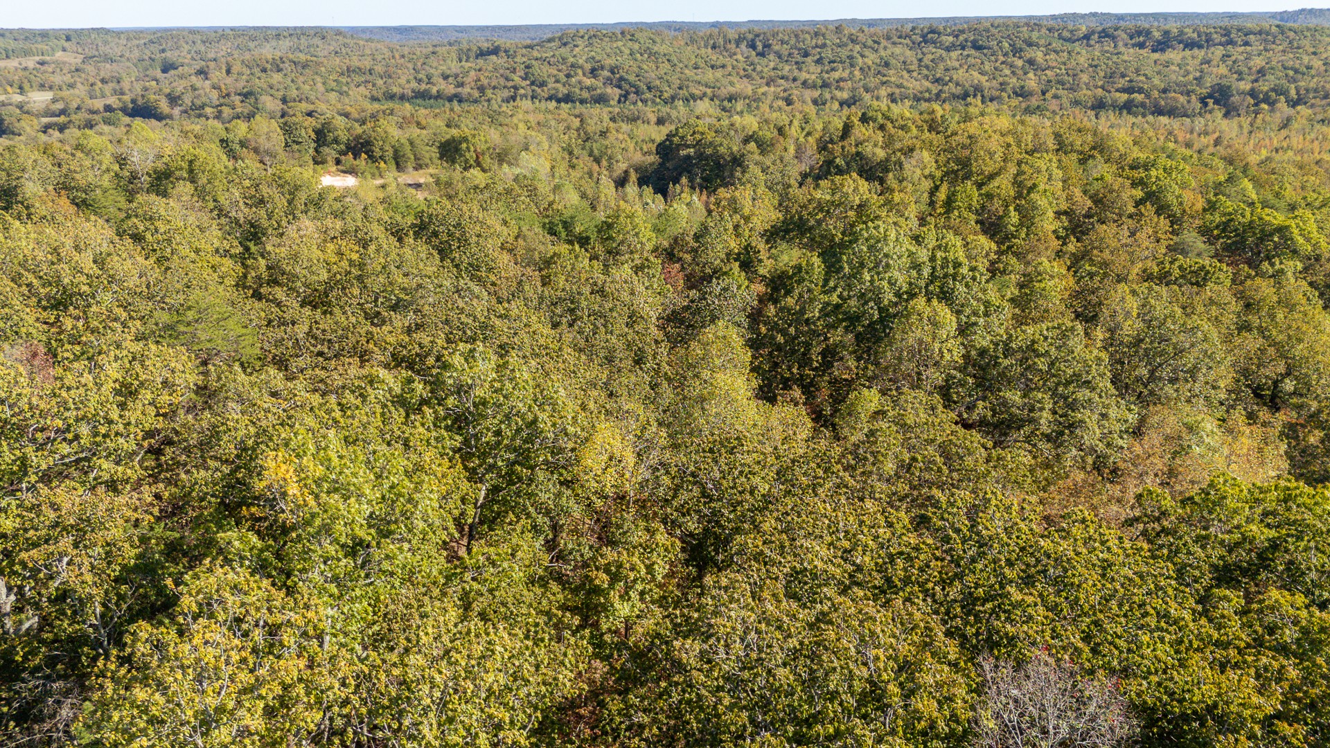 0 Cotton Court Road Clifton, TN 38425 - Photo 15 of 17 an aerial view of residential houses with outdoor space