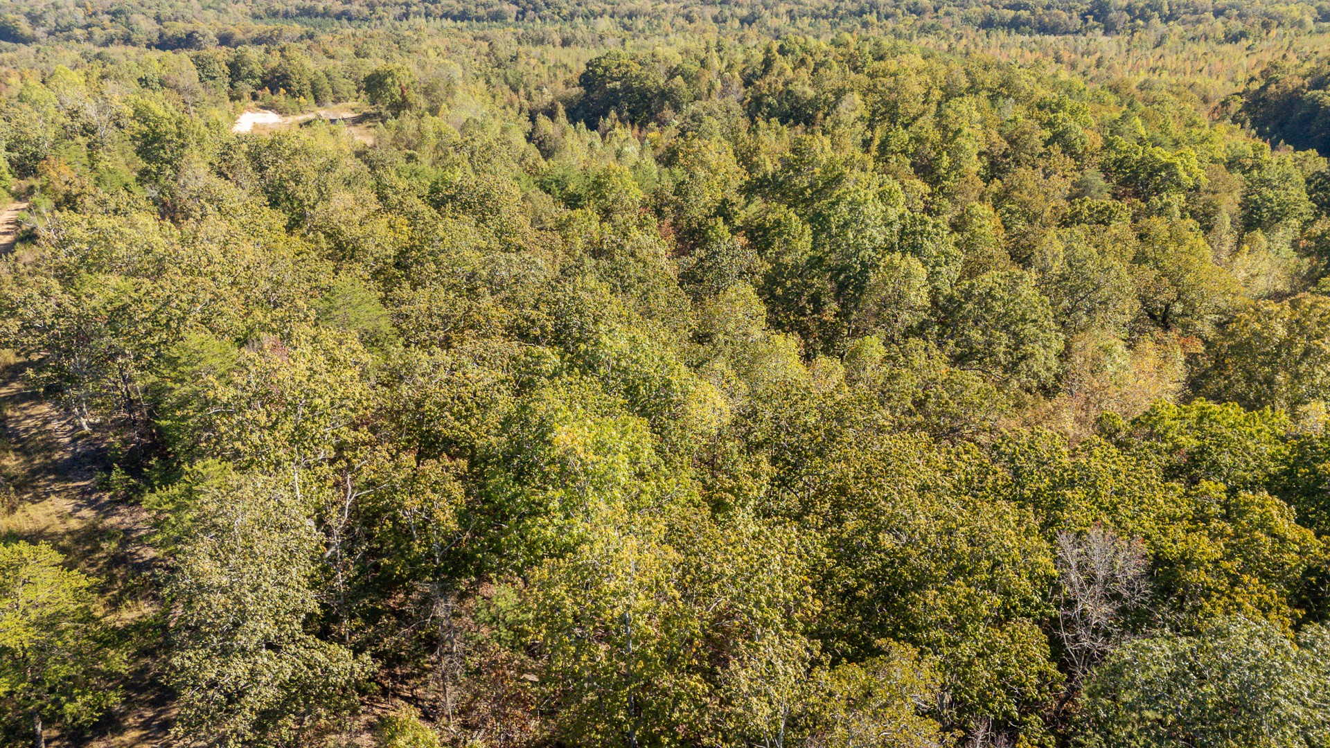 0 Cotton Court Road Clifton, TN 38425 - Photo 16 of 17 a view of a yard of a building