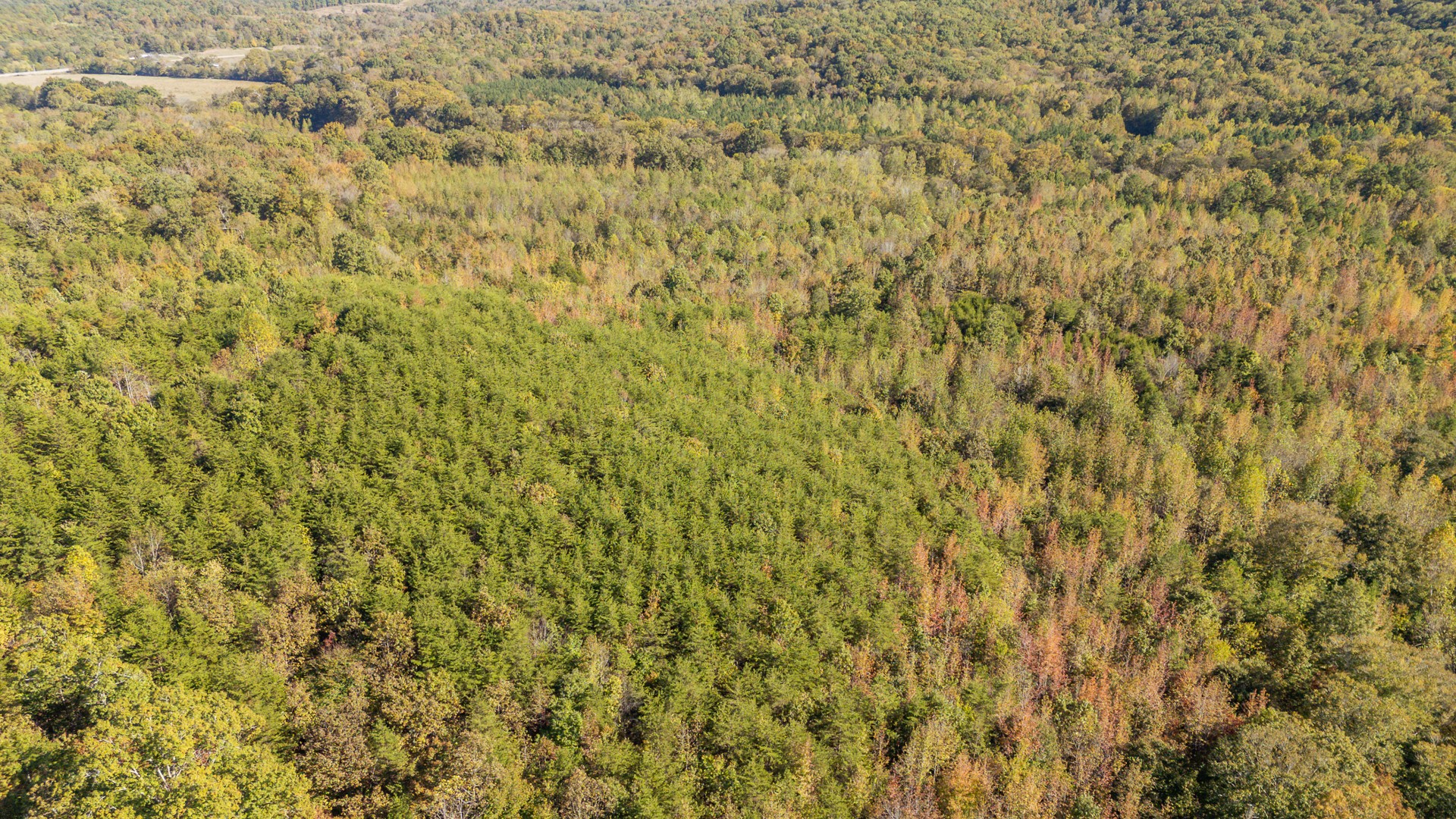 0 Cotton Court Road Clifton, TN 38425 - Photo 3 of 17