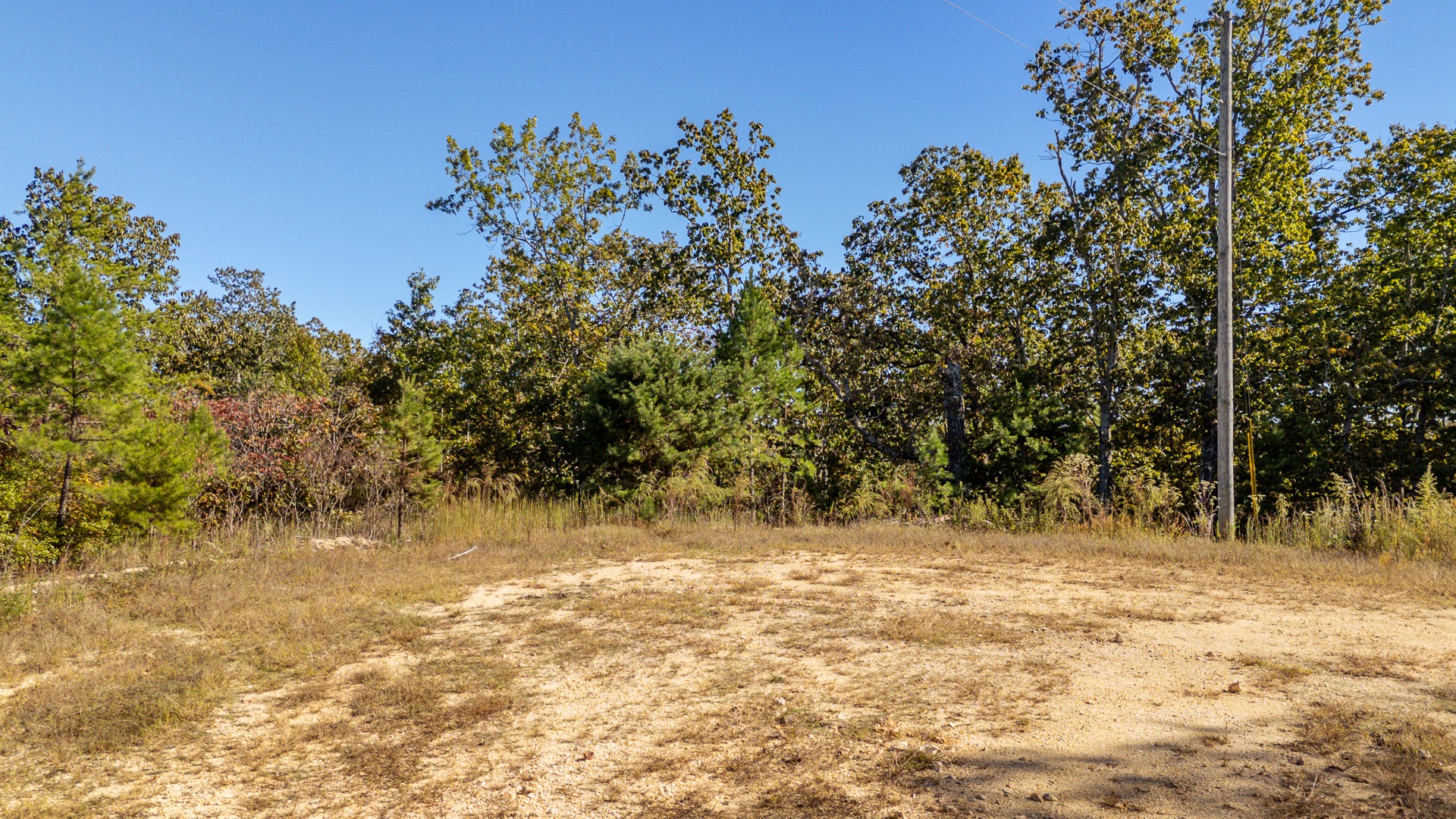 0 Cotton Court Road Clifton, TN 38425 - Photo 5 of 17 a view of a yard with a tree
