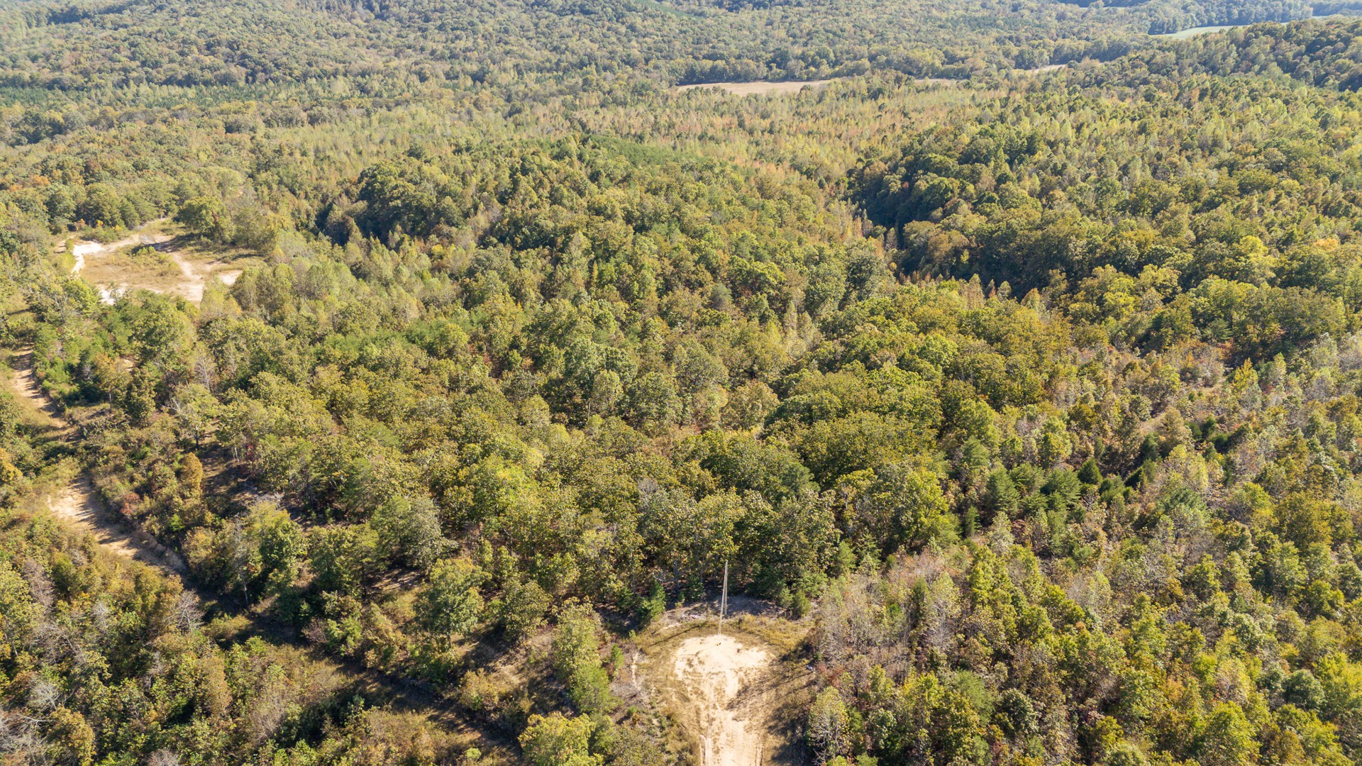 0 Cotton Court Road Clifton, TN 38425 - Photo 6 of 17 a view of a yard of a building
