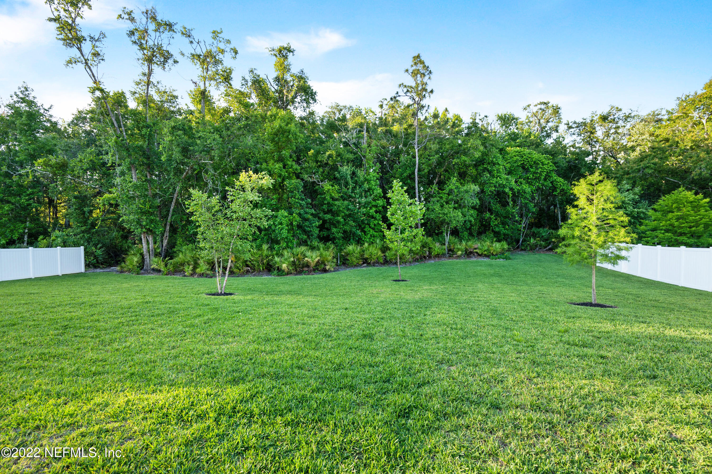 126 Broadleaf Lane St. Johns, FL 32259 - Photo 11 of 70 126 Broadleaf Ln (35)